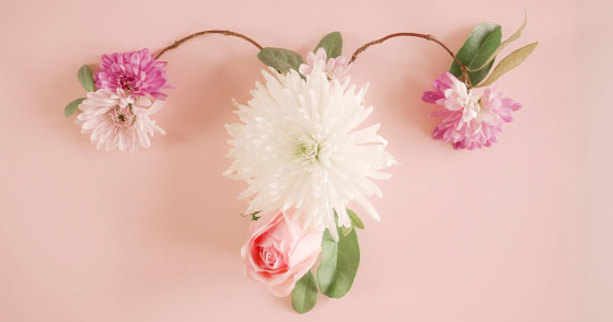 Фото: SewCreamStudio | Shutterstock | Fotodom