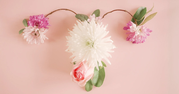 Фото: SewCreamStudio | Shutterstock | Fotodom