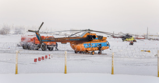 Фото: Oksana_Shmatok | Shutterstock | Fotodom