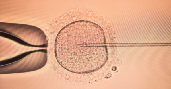 Фото: Martchan | Shutterstock | Fotodom