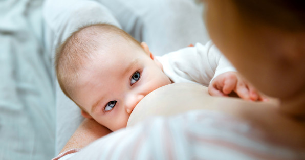 Фото: tartanparty | Shutterstock | Fotodom