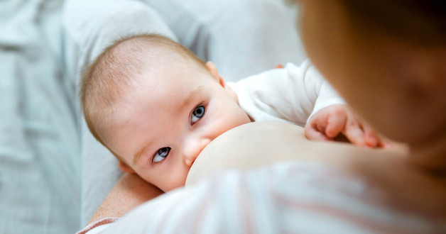 Фото: tartanparty | Shutterstock | Fotodom