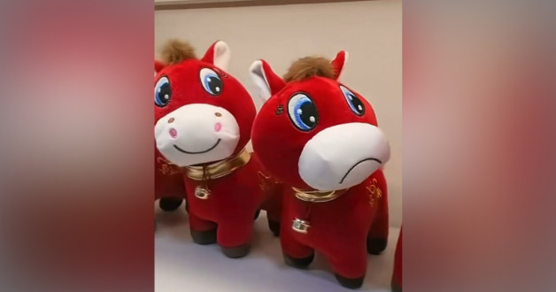 Скриншот: funchinalife | TikTok