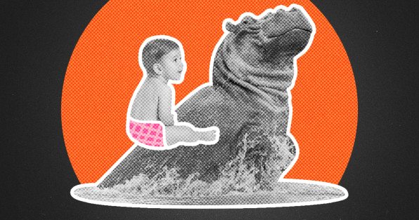 Коллаж с фото: New Africa | selim kaya photography | Shutterstock | Fotodom