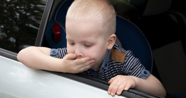 Фото: Alona Siniehina | Shutterstock | Fotodom