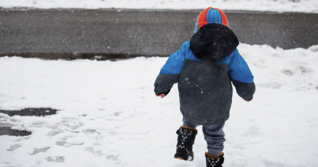 Фото: Colin Temple | Shutterstock | Fotodom