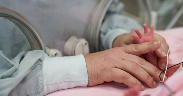 Фото: ArtPhoto21 | Shutterstock | Fotodom