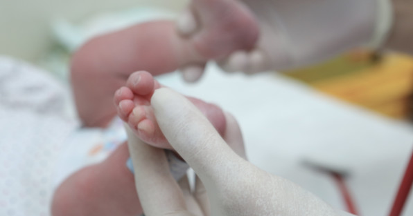 Фото: ZEMAK | Shutterstock | Fotodom