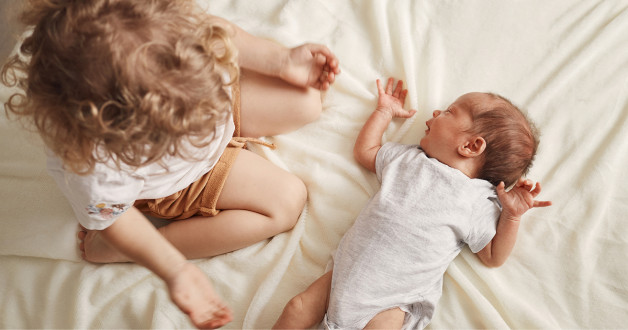 Фото: StoryTime Studio | Shutterstock | Fotodom