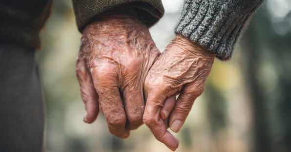 Фото: HOBBIT13 | Shutterstock | Fotodom