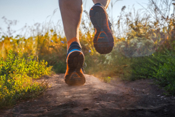 Фото: africa_pink | Shutterstock | Fotodom