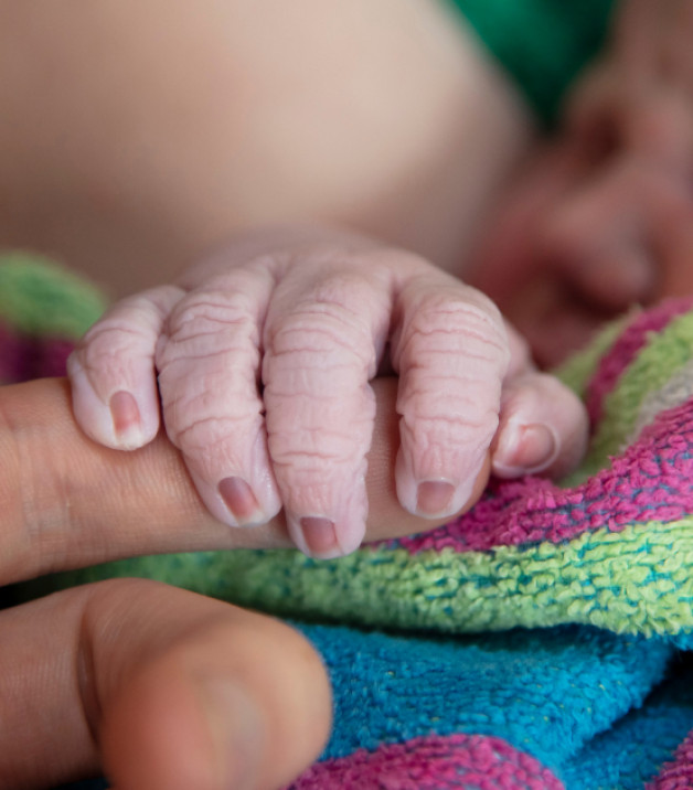 Фото: Ink Drop | Shutterstock | Fotodom