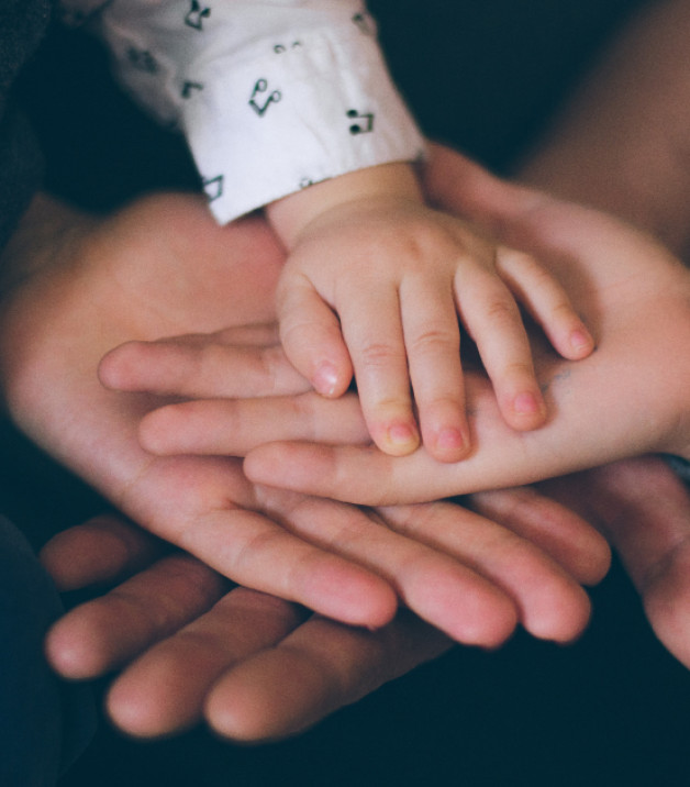 Фото: Capable97 | Shutterstock | Fotodom