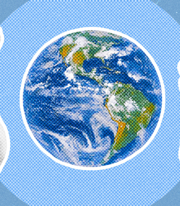 Коллаж с фото: New Africa | Porstocker | Katsiaryna Hurava | Shutterstock | Fotodom