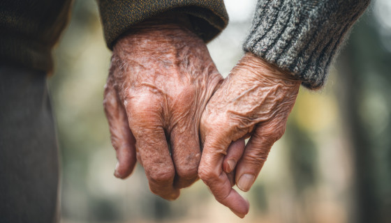 Фото: HOBBIT13 | Shutterstock | Fotodom