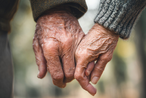 Фото: HOBBIT13 | Shutterstock | Fotodom