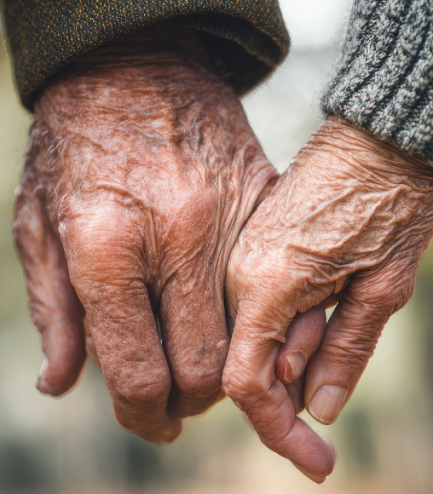 Фото: HOBBIT13 | Shutterstock | Fotodom