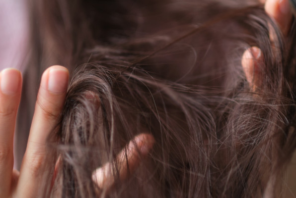 Фото: Yavdat | Shutterstock | Fotodom