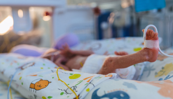 Фото: Iryna Inshyna | Shutterstock | Fotodom