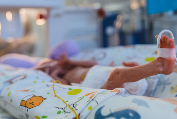 Фото: Iryna Inshyna | Shutterstock | Fotodom