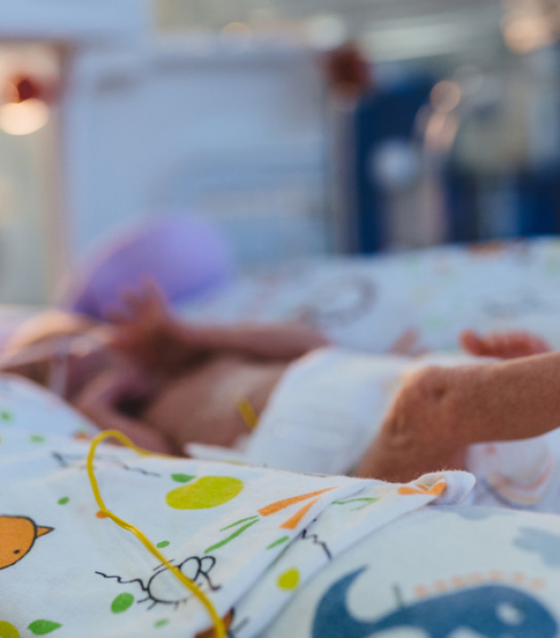 Фото: Iryna Inshyna | Shutterstock | Fotodom