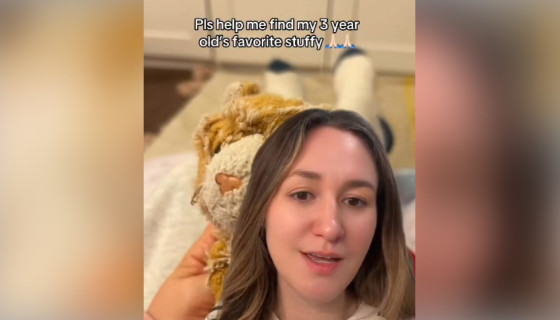 Скриншот из личных соцсетей* @katietheacu