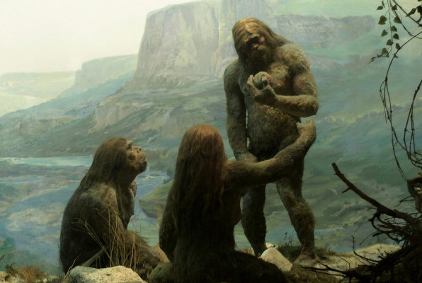 Фото: Ostapenko Oleksandra | Shutterstock | Fotodom