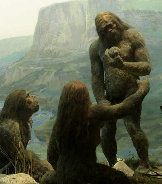 Фото: Ostapenko Oleksandra | Shutterstock | Fotodom