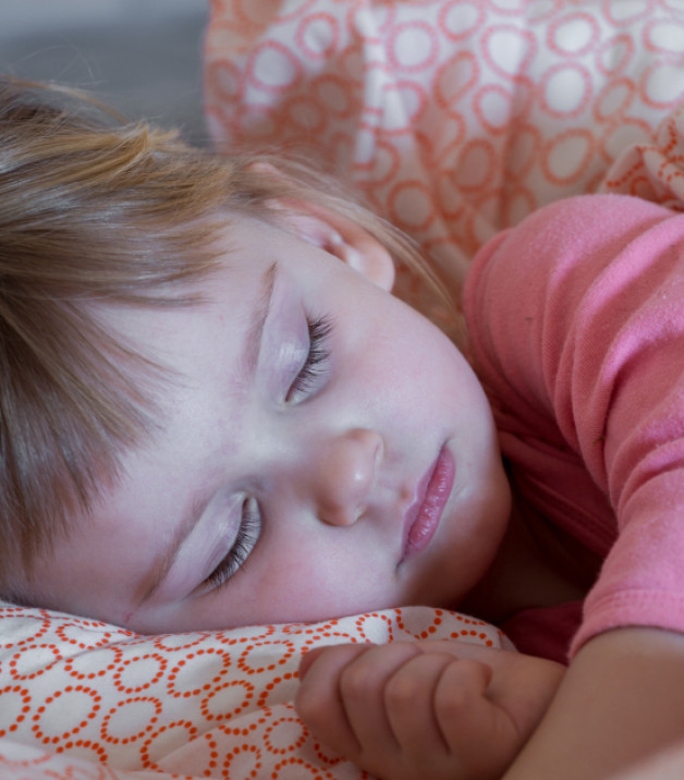 Фото: anastasiya parfenyuk | Shutterstock | Fotodom