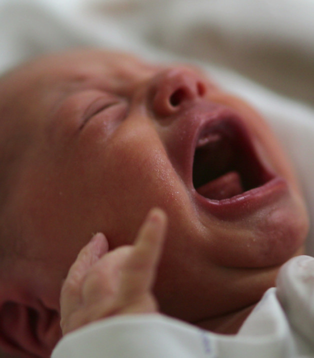 Фото: Bricolage | Shutterstock | Fotodom