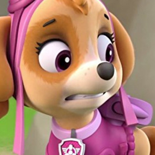 Кадр из мультсериала «Щенячий патруль» 2013 — ... | Студии производства: Nickelodeon Animation StudiosSpin Master Entertainment TV Ontario Guru Animation Studio Adrian 150 Tv 
