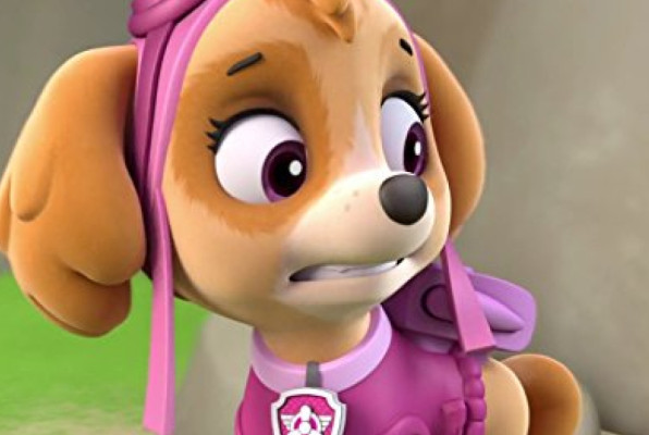 Кадр из мультсериала «Щенячий патруль» 2013 — ... | Студии производства: Nickelodeon Animation StudiosSpin Master Entertainment TV Ontario Guru Animation Studio Adrian 150 Tv 