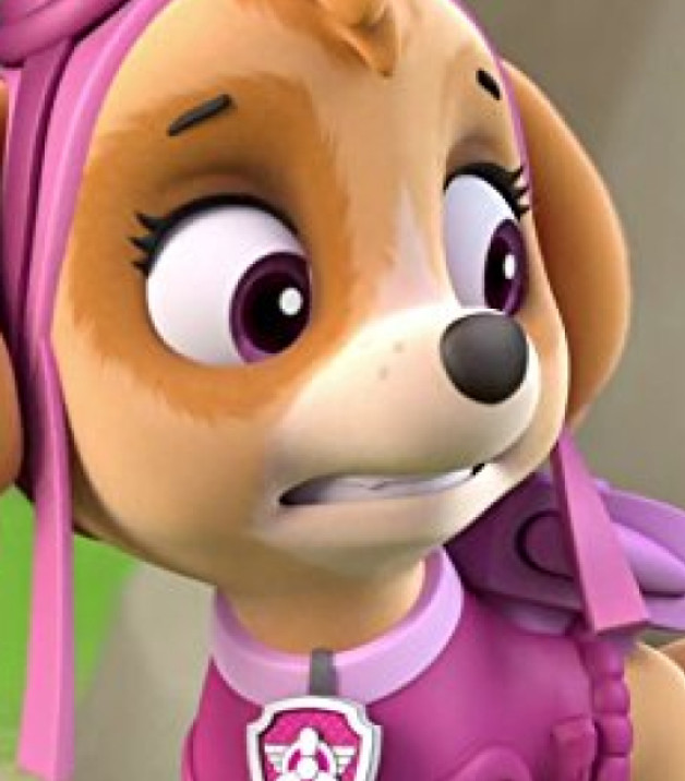 Кадр из мультсериала «Щенячий патруль» 2013 — ... | Студии производства: Nickelodeon Animation StudiosSpin Master Entertainment TV Ontario Guru Animation Studio Adrian 150 Tv 